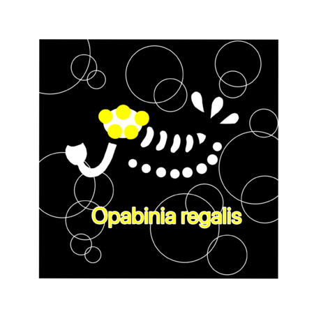 92796189 43bd 4f54 96e9 cf5db72d3301 s