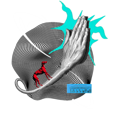 1bb051a3 60cf 4556 8a82 5a1fe6819888 s