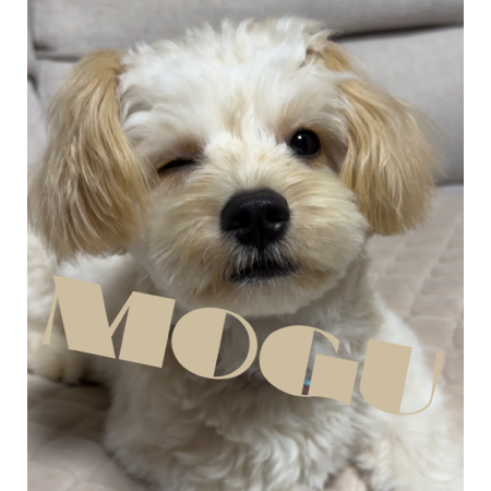 88d8c58f f005 4235 9c0d edce8fec6b94 s