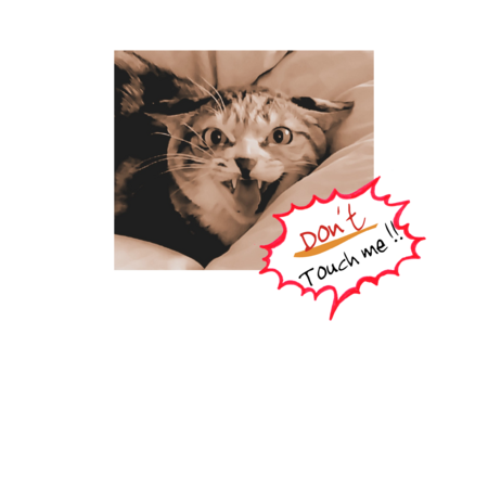 Aa1795c2 b0fc 4f30 b9cd 8f9d78f35df0 s