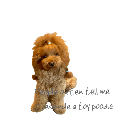 E3dcfac0 55ea 4359 b4e9 afb21f92a4f3 s