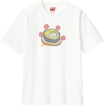 57d86316 0565 449d b075 a3d88c05b316 110 print s