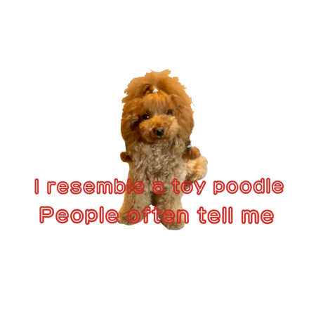 E162981d 115b 4af5 b1a1 49c50651dae0 s