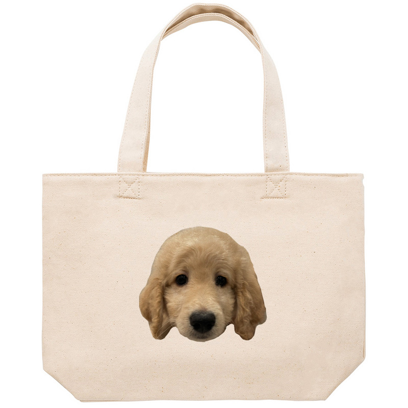 6e79eea3 106e 4e19 ae32 99a050f62eb9 53 print ll