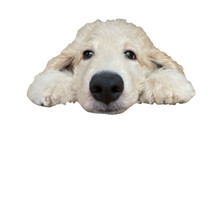 02155ff2 56b8 4a16 953c 311f01eb184b s