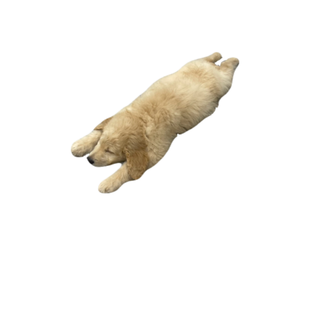 750ecee6 a414 4cb3 8770 2773c614c05e s