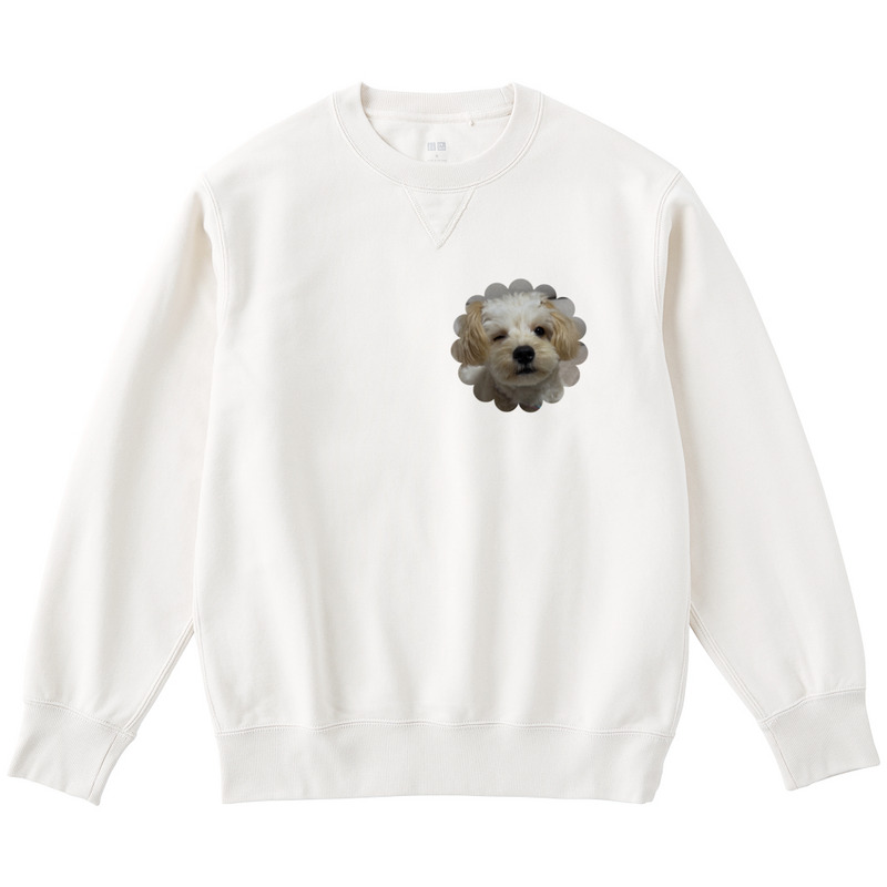 9fa46447 9af1 4351 94cf 2a8506974a14 122 print ll