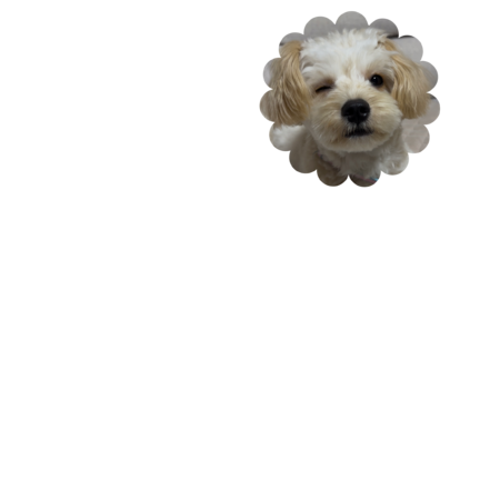 9fa46447 9af1 4351 94cf 2a8506974a14 s