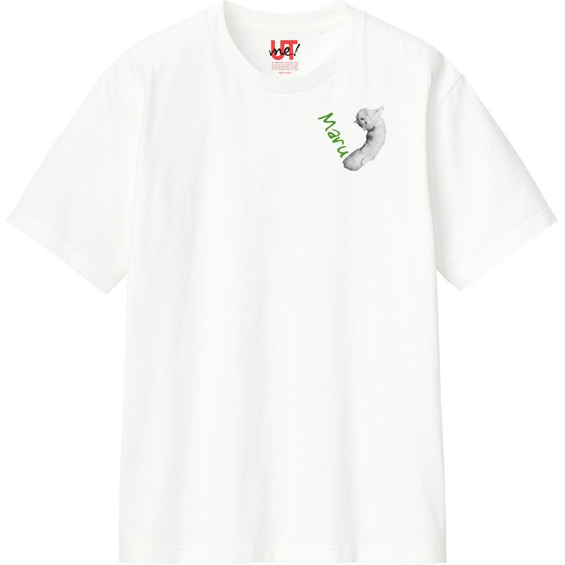 926dbbdf 93f9 4ee9 8cd6 f078af205865 110 print ll