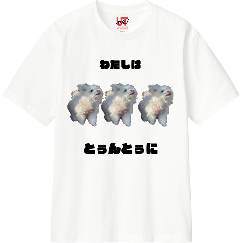 Aeb636a7 e2b9 49d0 8ab5 5e443247912c 110 print ll