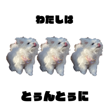 Aeb636a7 e2b9 49d0 8ab5 5e443247912c s