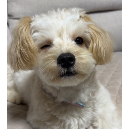 E56f2e6e d655 4199 ab51 208163b28224 s