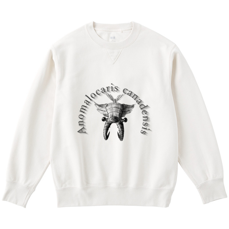 D3bfc2b6 40ab 4eba b323 aa3b715e15b4 122 print ll