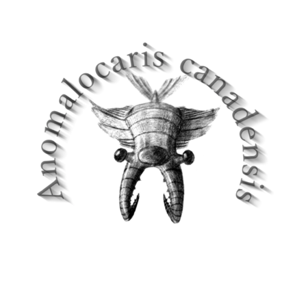 D3bfc2b6 40ab 4eba b323 aa3b715e15b4 s