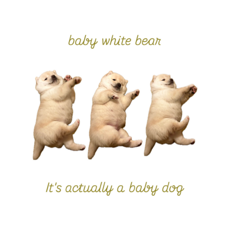 221c8c31 5487 4cf7 8133 4b73bfbd6942 s