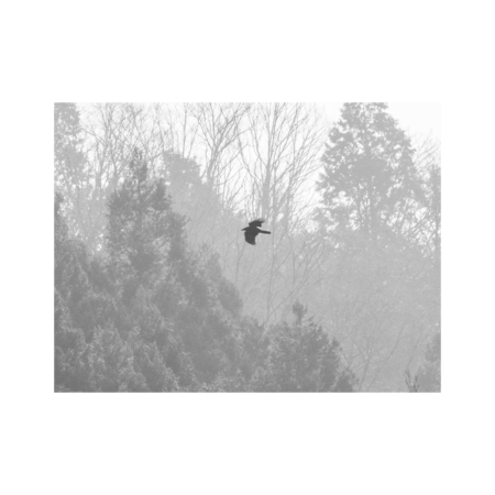 Ca3fabba d497 412c 8183 a34d8baae052 s