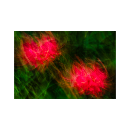 Ea9cd6da 0931 40fb 9f6c 848e2272d71b s