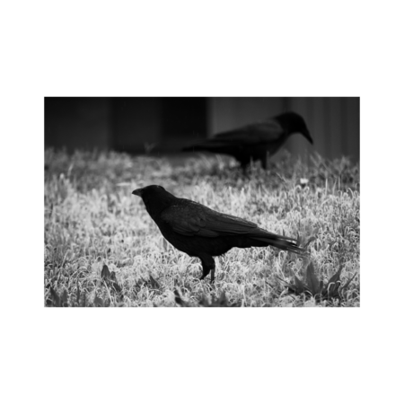 B645968f db6a 40f2 9e28 e1bfdf8bf045 s