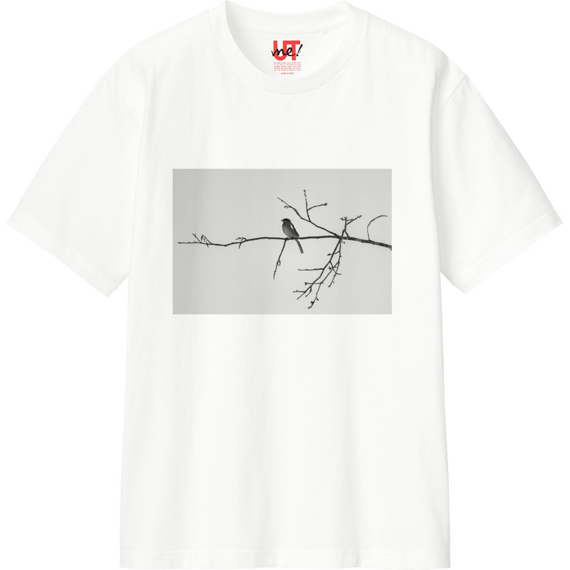 B7742d36 0a82 4e8b afe7 07205626b74c 110 print ll