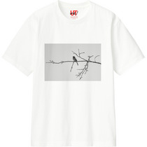 B7742d36 0a82 4e8b afe7 07205626b74c 110 print s