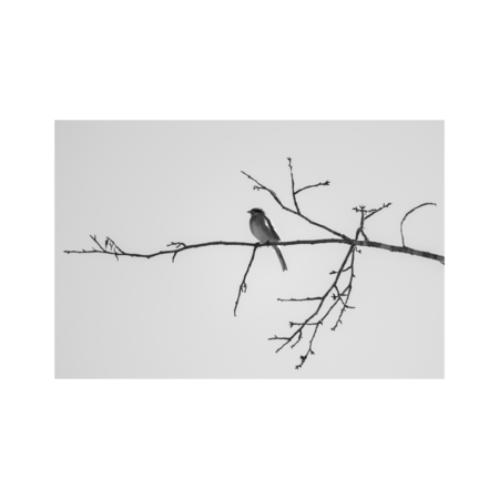 B7742d36 0a82 4e8b afe7 07205626b74c s