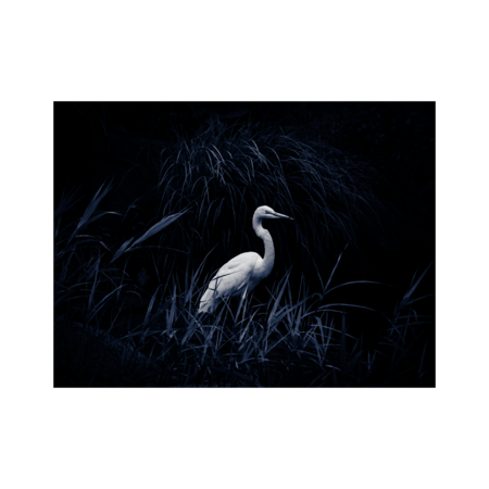 757fe3b3 e044 4e48 92bb f6b115496ecf s