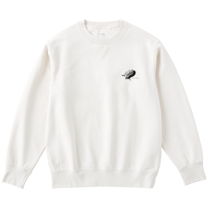 D2d53532 68a6 42ca be42 6d086645359a 122 print ll