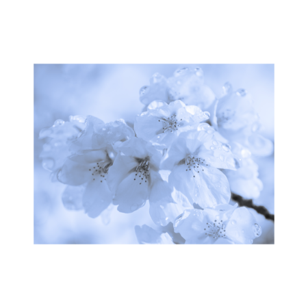 De00ec44 ab4e 4764 a494 45acc03997ab s