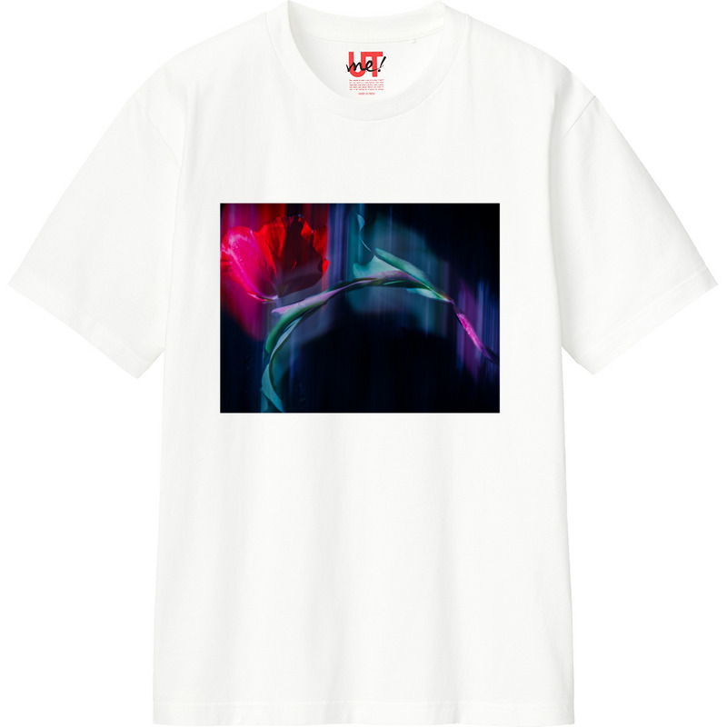 Fae0423a 10c6 42cf 9260 264817874dd1 110 print ll