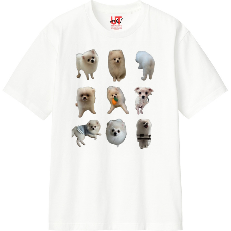 6622f6a1 7186 40f5 89d5 48b04f2fef3b 110 print ll