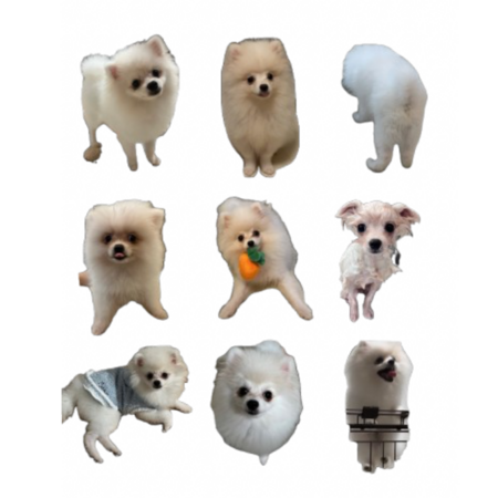 6622f6a1 7186 40f5 89d5 48b04f2fef3b s