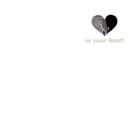 C2bbda79 e9ac 45e4 9fc6 928b8dda9f56 s