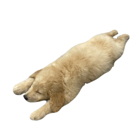 91b3106f 5a1d 4a17 b636 5ab76e432c39 s