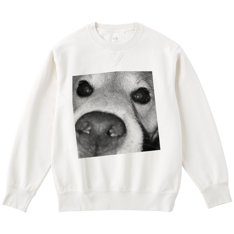 194a08ce dcaa 4091 979c 8351c17fe0ac 122 print ll