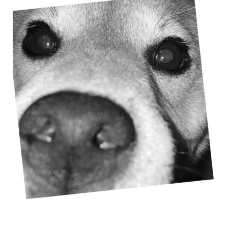 194a08ce dcaa 4091 979c 8351c17fe0ac s