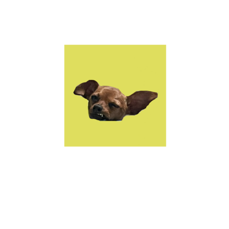 A4fa49c8 7abb 4d69 992d d496599efa4e s