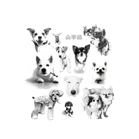 73f00223 7560 4a92 9159 aa5be70492b1 s