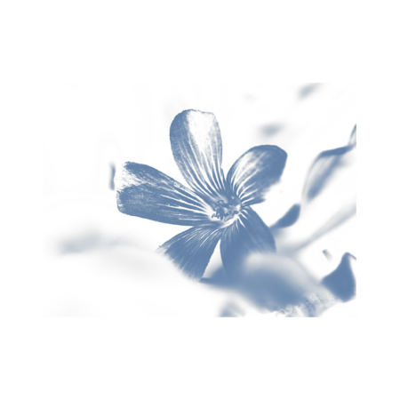 7c924f8b 33ea 4afe b83e 22bba5f068df s