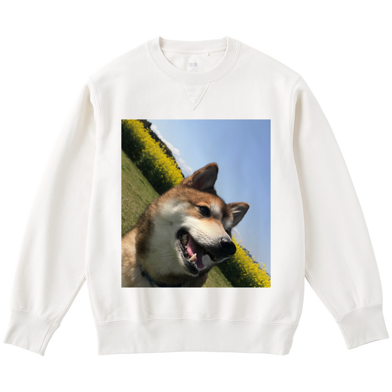 1ae1ab6f 4a40 4e8e 85ba 4baa5c9c4a3b 122 print ll