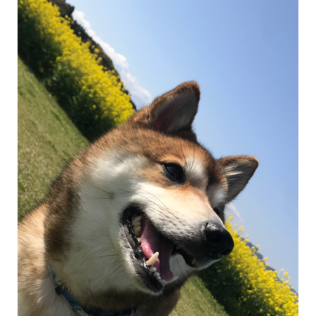 1ae1ab6f 4a40 4e8e 85ba 4baa5c9c4a3b s