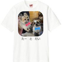 1bde2c64 b35f 44ee a88e 434f88d65f64 110 print s