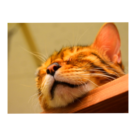 778e7a8e 0298 407d 9a60 da0a324a5482 s