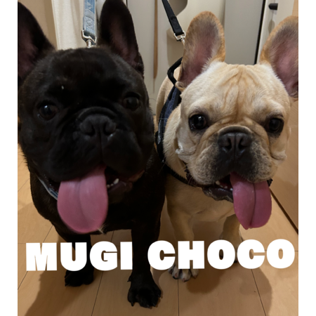 64f13a44 a5ef 4e9b 8e6d 1b66fd0206a3 s