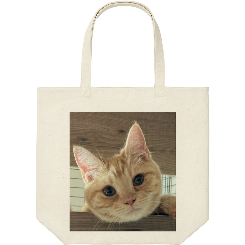 F7abff9e a6f0 4752 96ac 0ac1e8923d6f 9 print ll