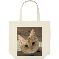 F7abff9e a6f0 4752 96ac 0ac1e8923d6f 9 print s