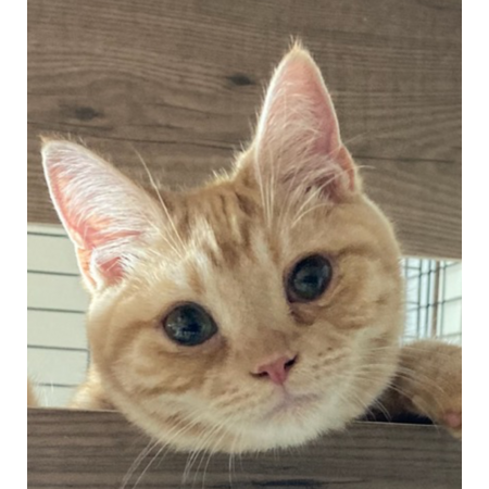 F7abff9e a6f0 4752 96ac 0ac1e8923d6f s