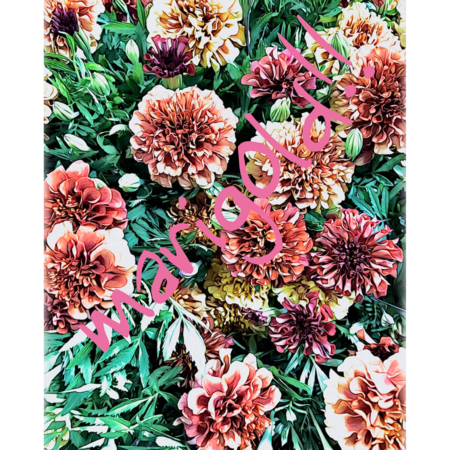 F0cec897 ae30 4e49 9d8e 91e30544ba69 s