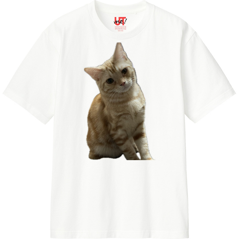 F1780154 62ed 4d5c bad3 b91a27fa3bd0 110 print ll