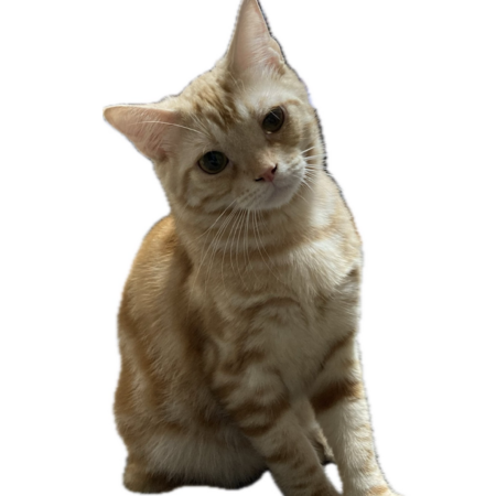 F1780154 62ed 4d5c bad3 b91a27fa3bd0 s