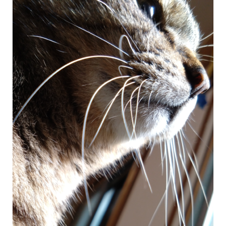 96a8ebf5 8406 46d6 b913 1c562895236c s